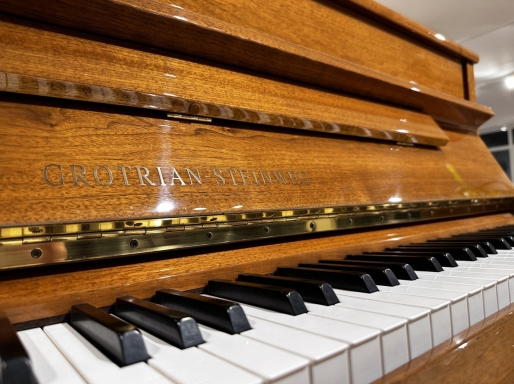 Grotrian steinweg piano 110 note